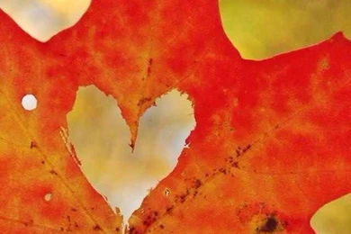 iPhone Wallpapers On Pinterest