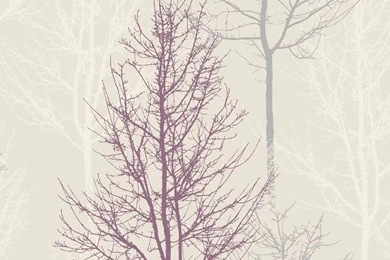Heather / Silver / Cream 11001 Bowland Trees Branches Holden ...