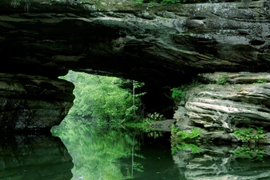 Wallpapers Dota Nature New High Quality 1600x1200