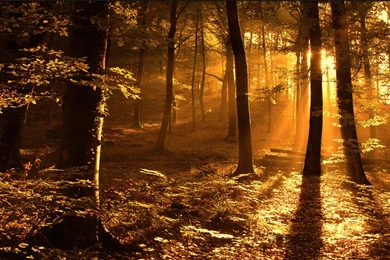 High Resolution Wallpaper Images   Wallpapers Zone