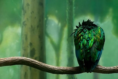 Html I Can't Get This Bootstrap Thing Working Properly Stack ...