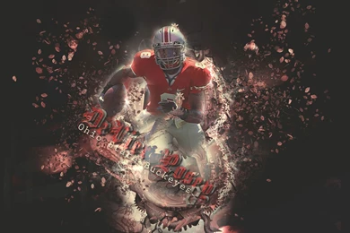 Wallpapers Chicago Bears Devier Posey Free Nfl Football 1600x1200 ...