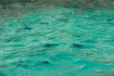 Malta Ocean   Nexus Wallpapers