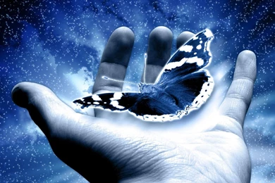 Free Butterly In Your Palm Digital 3D Computer Desktop Wallpapers