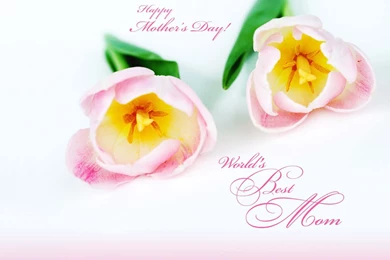 Greeting Wallpapers   Wallpapers Zone