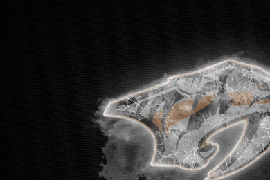 Nashville Predators Wallpapers   HDWallpaperSets.Com