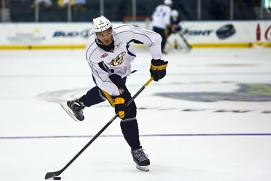 NASHVILLE PREDATORS Nhl Hockey (60)_JPG Wallpapers