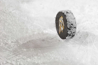 Predators Vs. Blackhawks   04/12/2014   Chicago Blackhawks   Photos