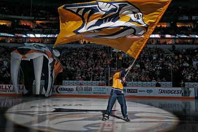 Predators Vs. Bruins   12/23/2013   Nashville Predators   Photo ...