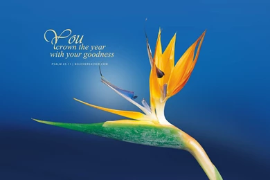 New Year Archives   Believers4ever.comBelievers4ever.com