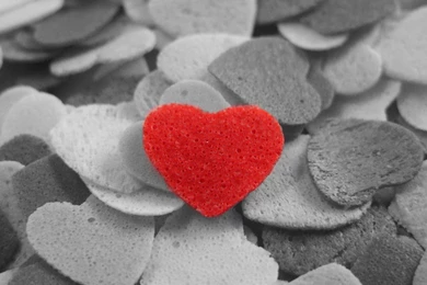 Beautiful Heart Wallpapers HD