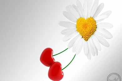 Beautiful Heart Wallpaper, Beautiful Heart Pictures