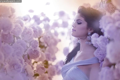 Download Selena Gomez Selena Gomez 1920x1200 Wallpapers