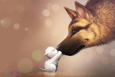Puppy Kiss Wallpapers