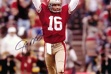 366x450px 50.32 KB Joe Montana