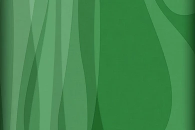 Simple Green   Green Wallpapers (20110921)   Fanpop