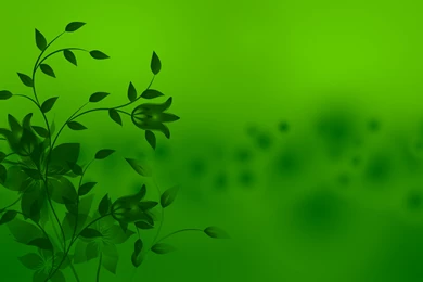 Simple Green Wallpapers