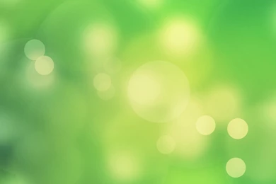 Wallpapers For Computer Desktops, Simple Green Backgrounds ...