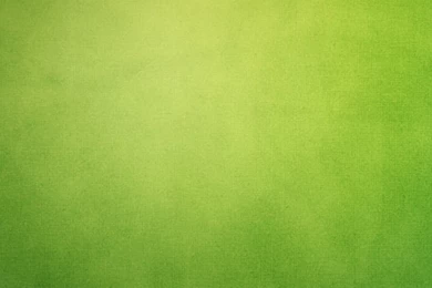 Pure Minimal Simple Green Backgrounds iPhone 6 Wallpapers Download ...