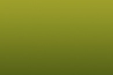 Simple Green 02 iPad Pro Wallpapers