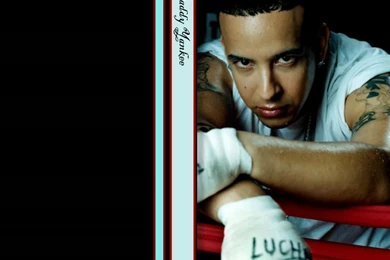 Daddy Yankee 1 :: Daddy Yankee Wallpapers :: ShareWallpapers