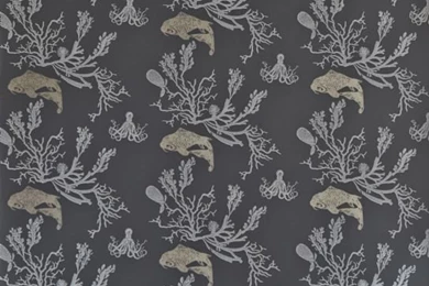 Coral Wallpapers By Barneby Gates   Charcoal And Gold