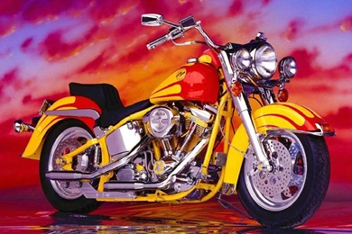 Autos Motorcycles: February 2010