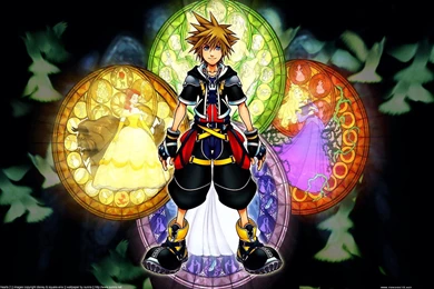 67 Kingdom Hearts HD Wallpapers