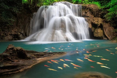 Animated Waterfall Desktop Wallpapers