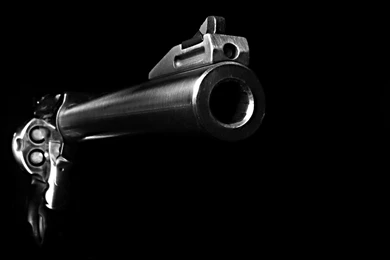 Photography   Page 216