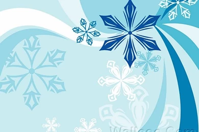 Snowflake Backgrounds   Vector Snowflakes Wallpapers 20   Wallcoo.net