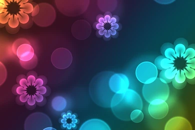 Top Flowers Pictures   Part 2