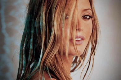 HOLLY VALANCE WALLPAPER   (