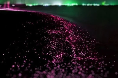 Beautiful Nature Wallpapers For Desktop