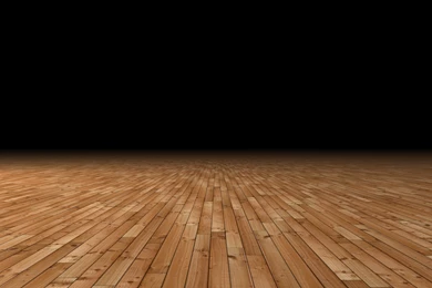 The National Basketball Academy