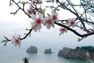 Nature Wallpapers, HD, 1080P, Desktop Background, 1920X1080 21 ...