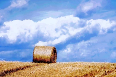 Hd Widescreen Wallpapers 1920x1080