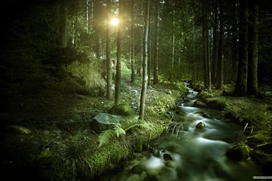 Free Wallpapers Themes   Wallpapers Zone