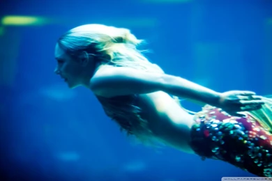 I Think I Just Saw A Mermaid HD Desktop Wallpapers : Widescreen ...