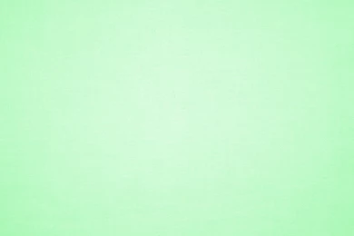 Pastel Green Canvas Fabric Texture Picture