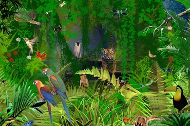Jungle Wildlife Wallpapers