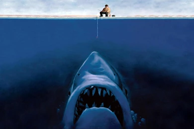 Hd Wallpapers Fun Desktop   Backgrounds Wallpapers For Your Desktop ...