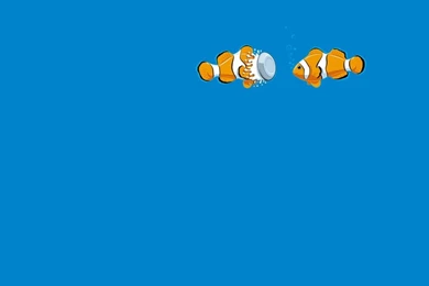 Fun Art 1440x900 Wallpapers – Animals Fish HD Desktop Wallpapers