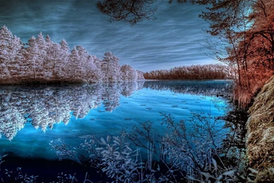 Pond Trees Lake Forest Surface Pond Beach Winter Autumn Frost ...