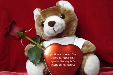 Love Images Download