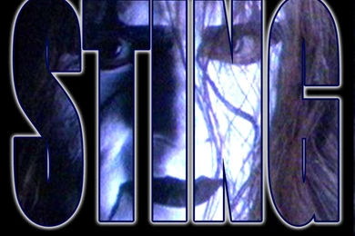 TNA Wallpapers   TNA Wrestling Wallpapers (7900813)   Fanpop