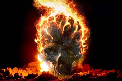 Wallpapers Skull In Fire Free 1024x768