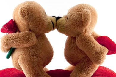 Lovely And Beautiful Teddy Bear Wallpapers ~ Allfreshwallpapers