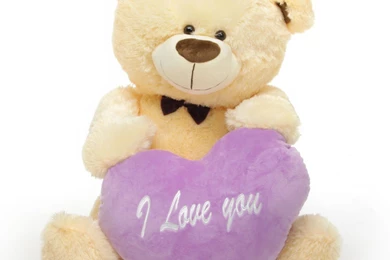 Hd Wallpapers Graphic: Beautiful Teddy Bear New Hd Wallpapers Free ...