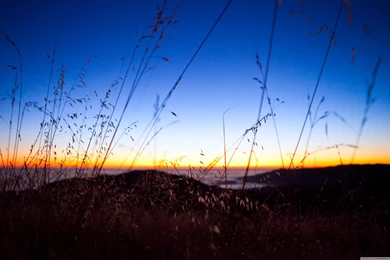 Sunset Wallpapers For Desktop